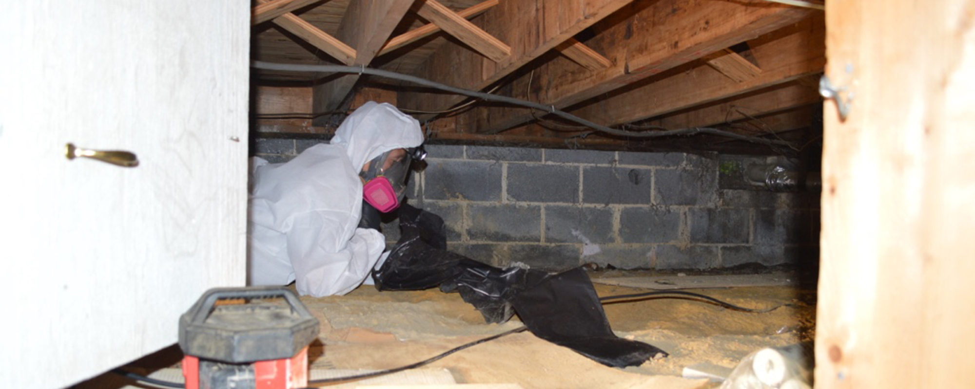crawl-space-mold-removal-nj