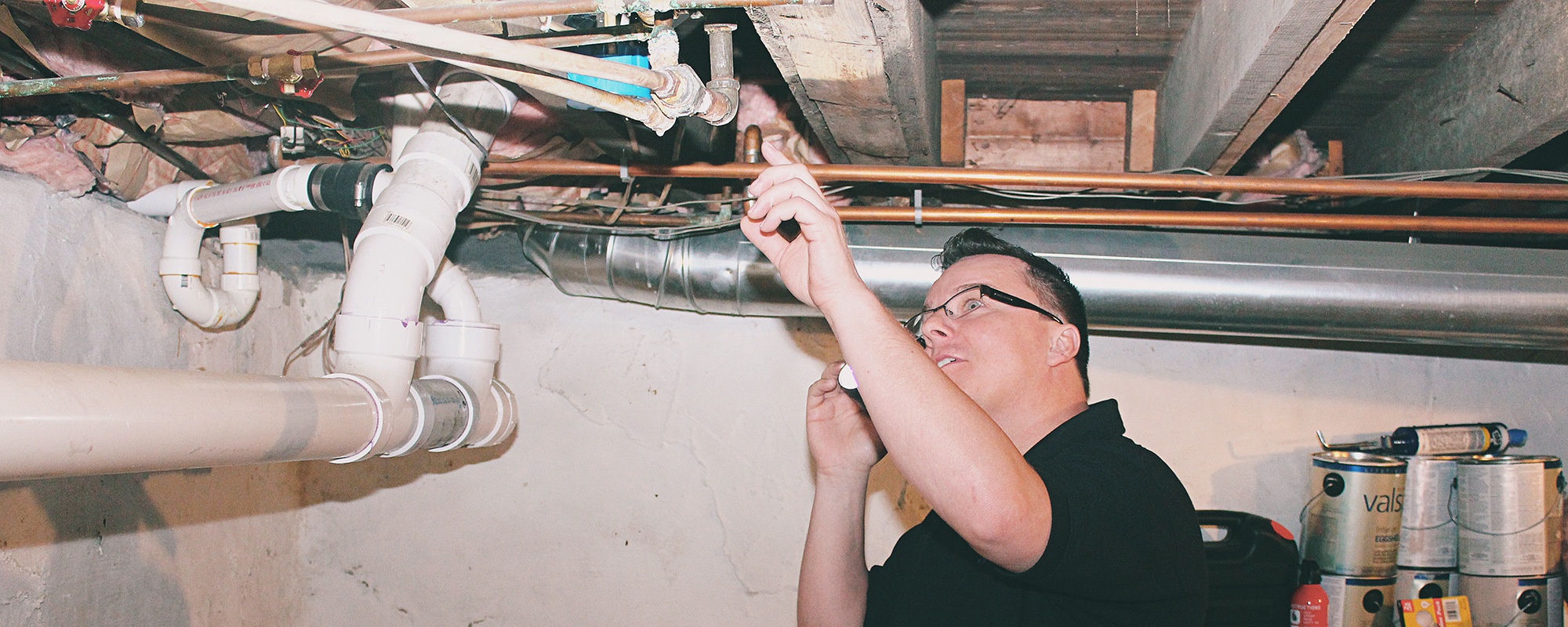 professional attic mold inspection nj