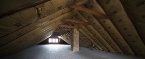 most-common-causes-of-attic-mold-nj