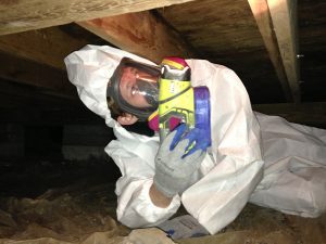 foundation-leaks-cause-basement-mold-nj
