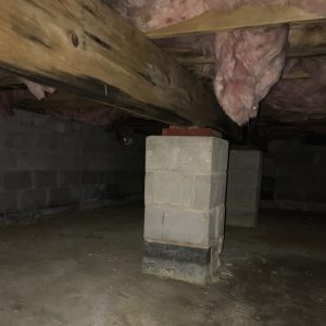 foundation-leaks-cause-crawl-space-mold-nj