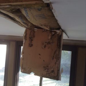 roof leaks cause ceiling mold