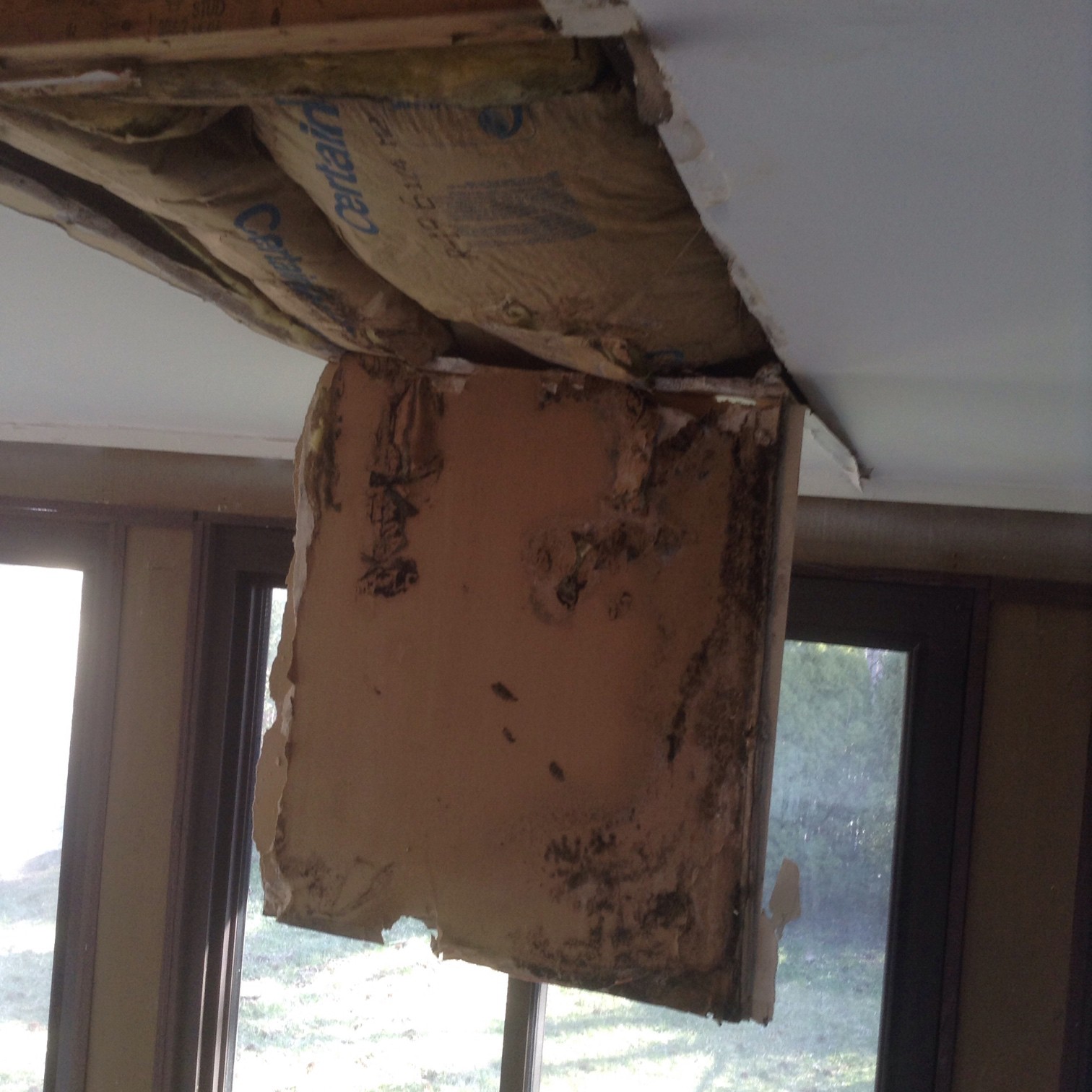 Roof Leaks Mold Growth How Does Roof Damage Contribute To Mold