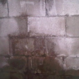 wet-foundation-walls-and-mold-nj