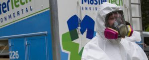 what-is-professional-mold-removal-new-jersey