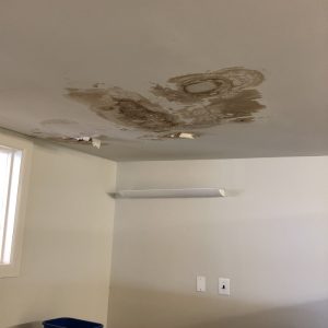 water leak ceiling mold 