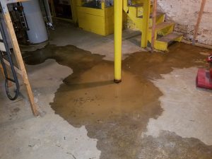 maintain dry basement