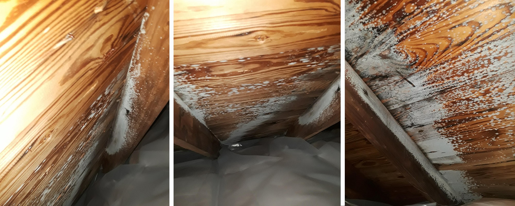 attic frost moisture problems nj