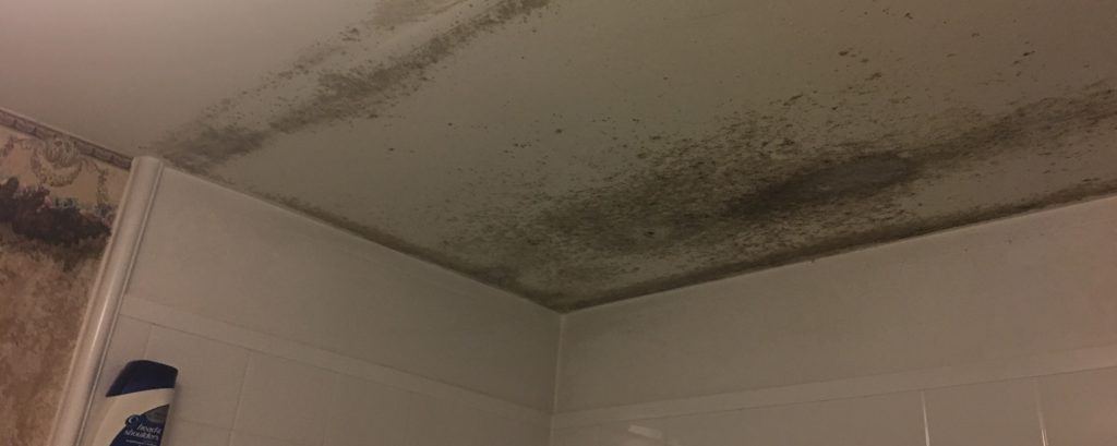 Moldy Bathroom Ceiling Mastertech Environmental