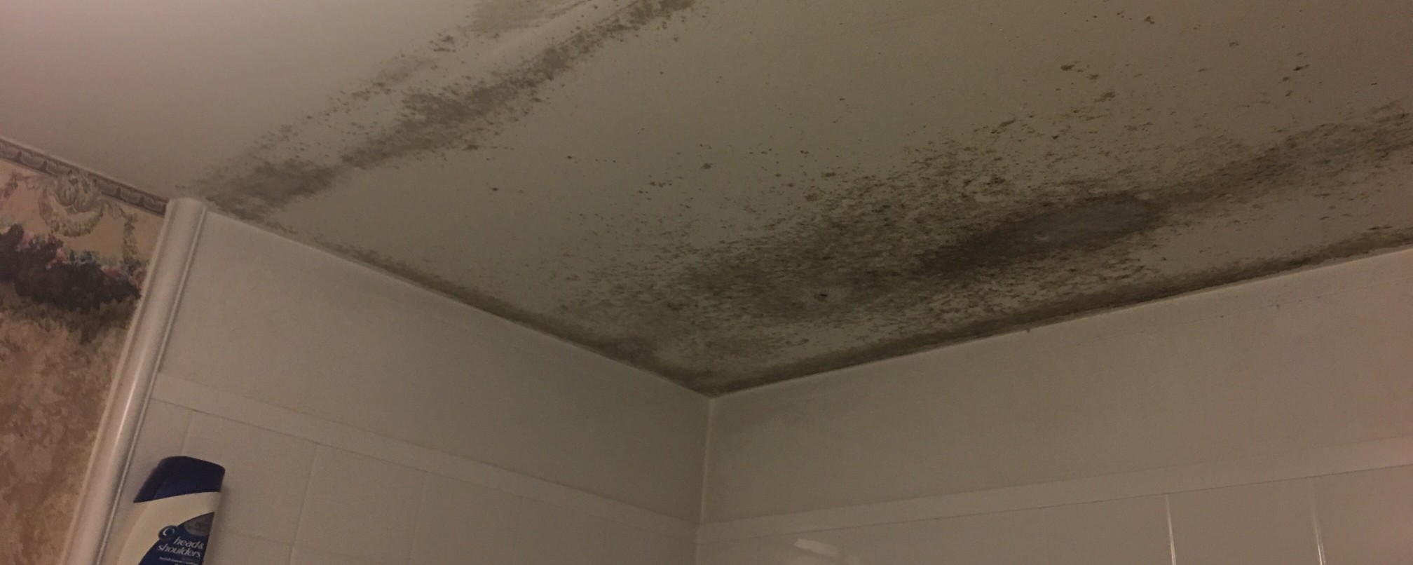 moldy-bathroom-ceiling