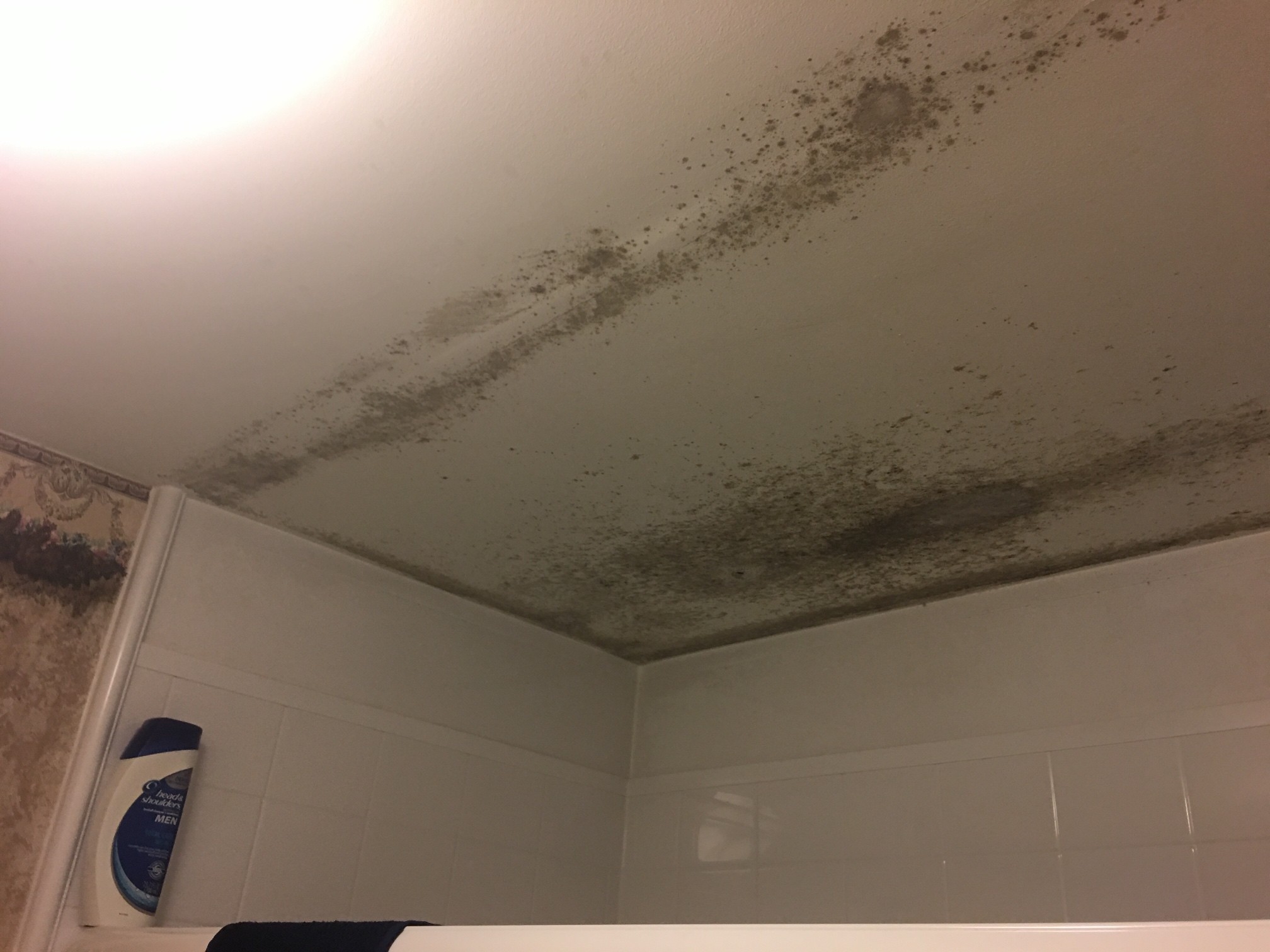 Moldy Bathroom Ceiling Mastertech Environmental