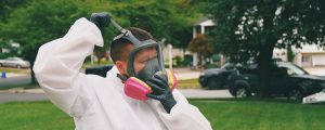 toxic mold removal company new jersey