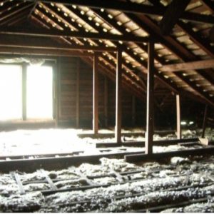 musty odor may stem from attic mold