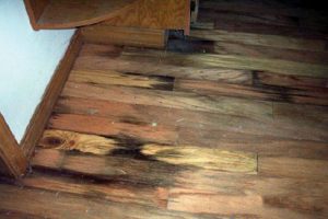 staining on wood can indicate water damage