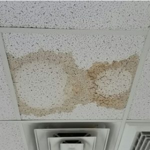 school mold stained ceiling tiles
