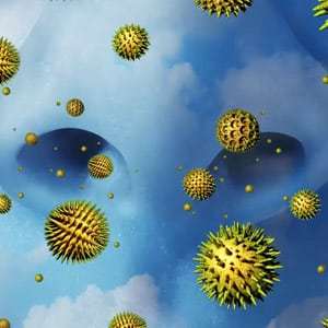 pollen causes indoor air pollution