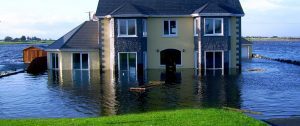 thorough flood damage cleanup can help avoid mold development