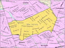 Trauma Cleanup in Haddon Heights, NJ, 08035, Camden County (2810)