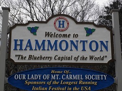 Gross Filth Cleanup in Hammonton, NJ (6345)