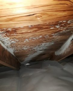 frozen attic can thaw and cause mold
