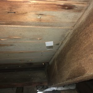 moldy floor joists and subfloor in basement