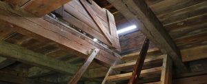 issues that can arise in your attic during winter