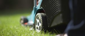 keep lawn clean as part of spring home maintenance