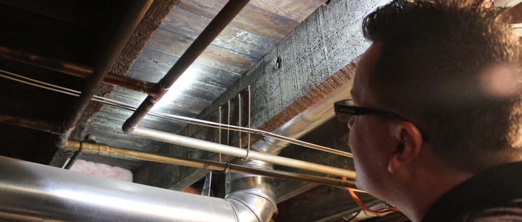 Mold Testing Camden County NJ