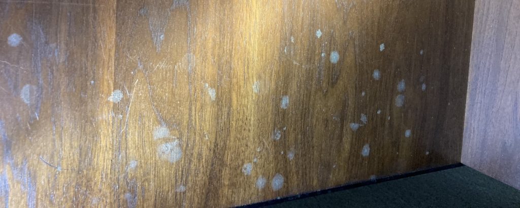 moldy wood kitchen table