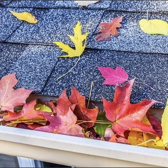 ensure that gutters are cleared of debris