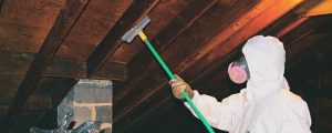 removing mold on floor joists
