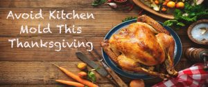 avoid kitchen mold this thanksgiving
