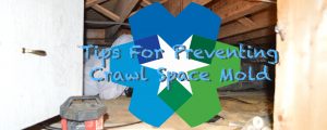 tips for preventing crawl space mold