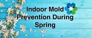 indoor mold prevention during spring south jersey