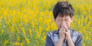 improve indoor air quality this allergy season