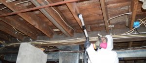 basement floor joist mold