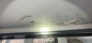 Ceiling Leak Mold Removal Berlin NJ 08009