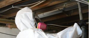 Basement Floor Joist Mold Removal Mt Laurel NJ 08054