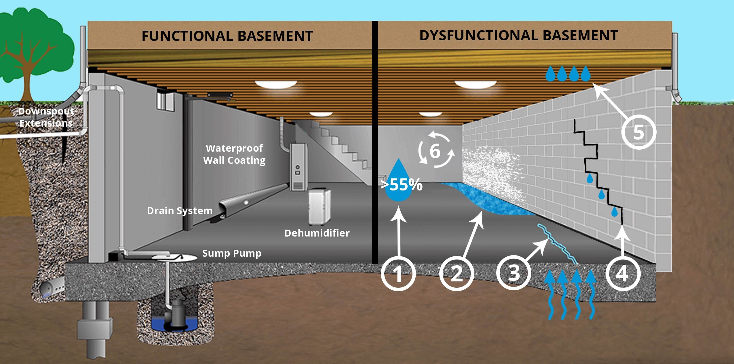 Water Causes Basement Mold South Jersey