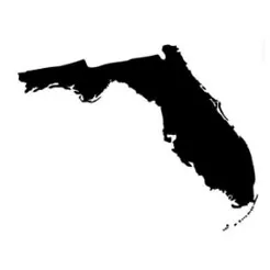 Florida Mold Removal Company