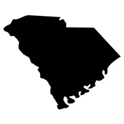 South Carolina mold removal company