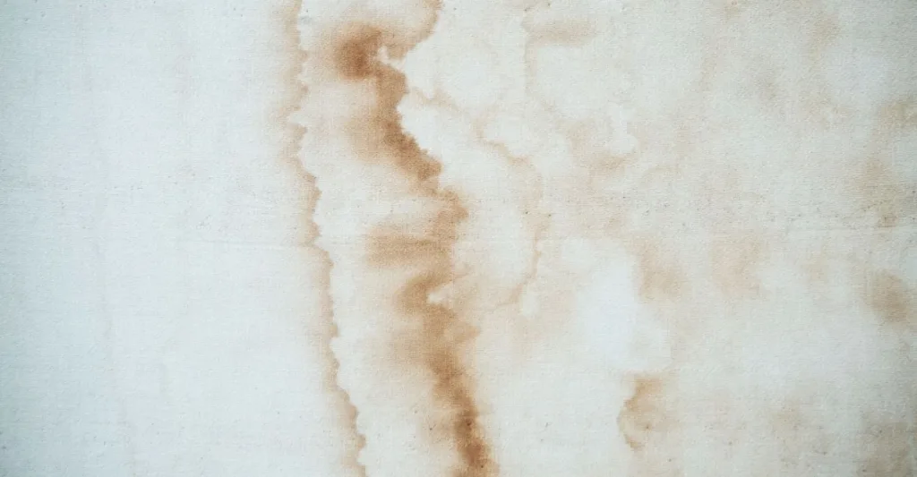 water stains nj mold removal