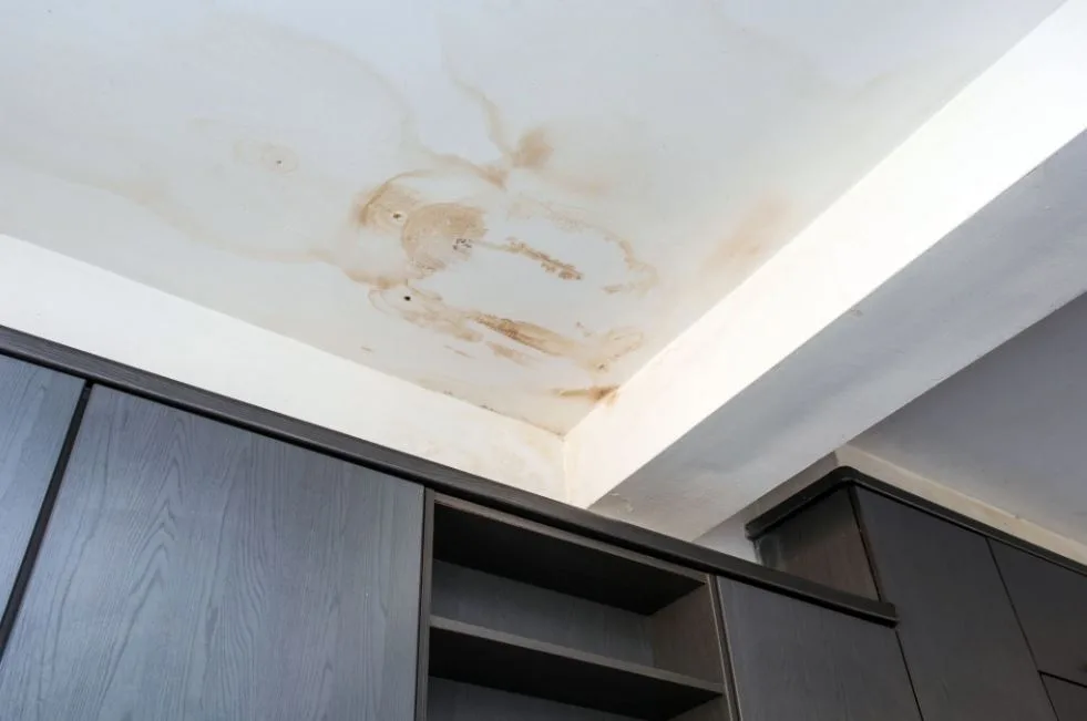 Could Water Stains Be A Sign Of Mold Growth In Your South Jersey Home?