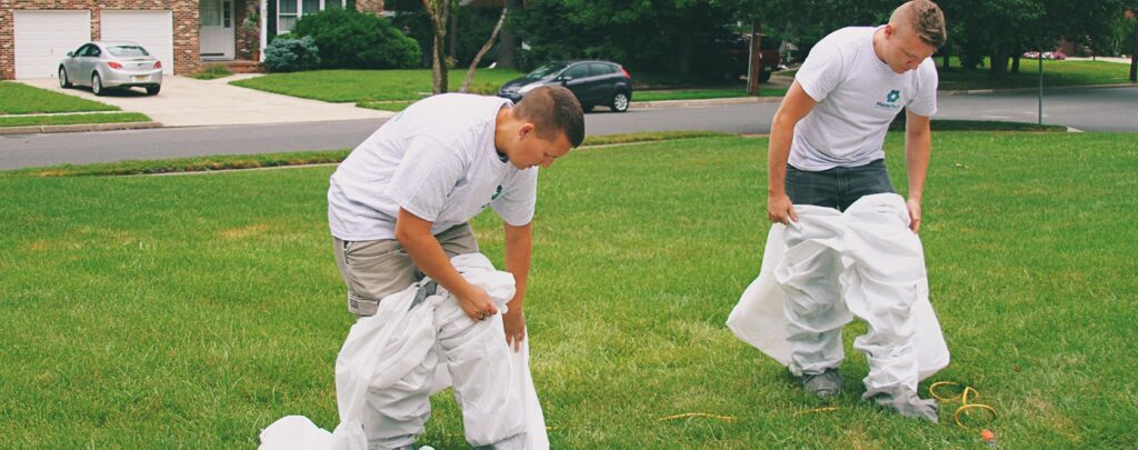 certified mold removal new jersey
